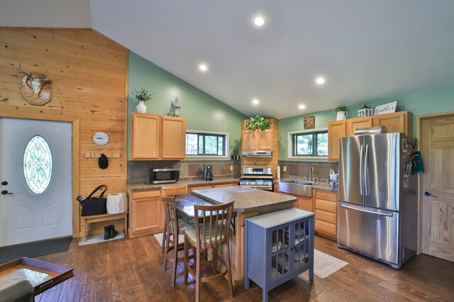 21097 Gilmer Rd, Crosby, MN 56441 - kitchen featuring stainless steel appliances, a sink, decorative backsplash, a center island, and high vaulted ceiling