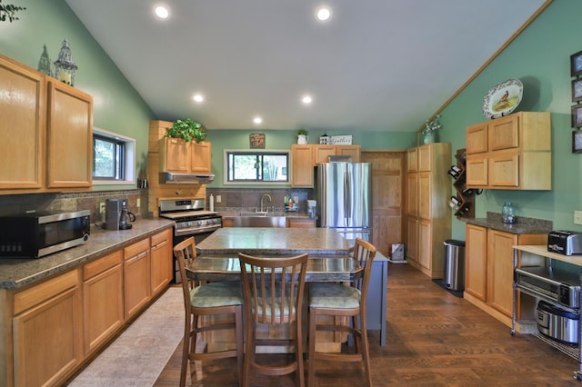 21097 Gilmer Rd, Crosby, MN 56441 - kitchen featuring stainless steel appliances, vaulted ceiling, backsplash, a kitchen breakfast bar, and under cabinet range hood