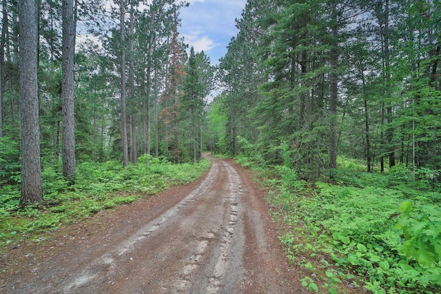 21097 Gilmer Rd, Crosby, MN 56441 - view of dirt / gravel road with a view of trees