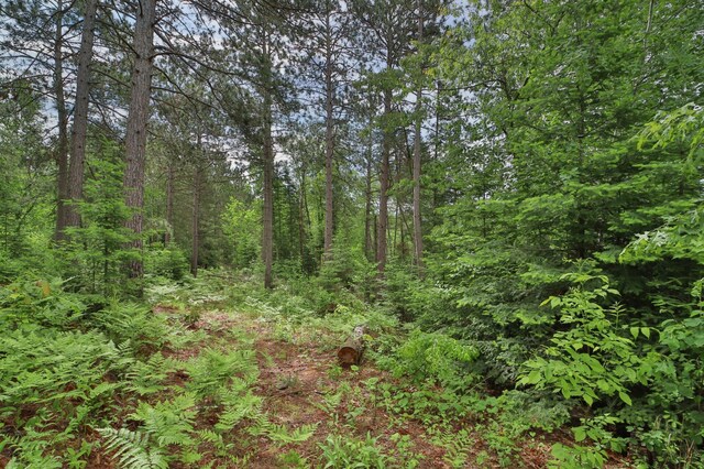 21097 Gilmer Rd, Crosby, MN 56441 - view of woods