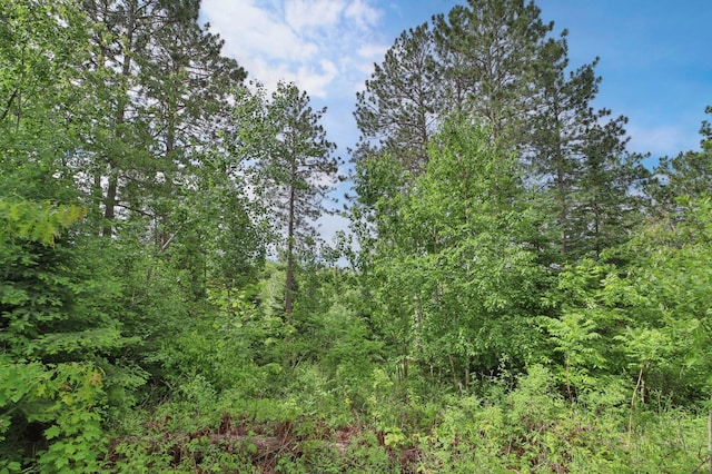 21097 Gilmer Rd, Crosby, MN 56441 - view of wooded area