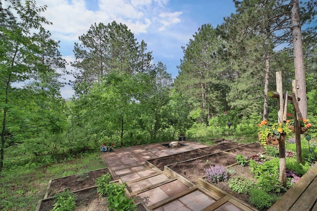 21097 Gilmer Rd, Crosby, MN 56441 - view of yard with a vegetable garden