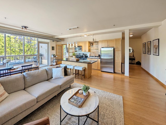 521 2nd St SE Unit 206, Minneapolis, MN 55414 - living room featuring light wood-type flooring, rail lighting, and baseboards