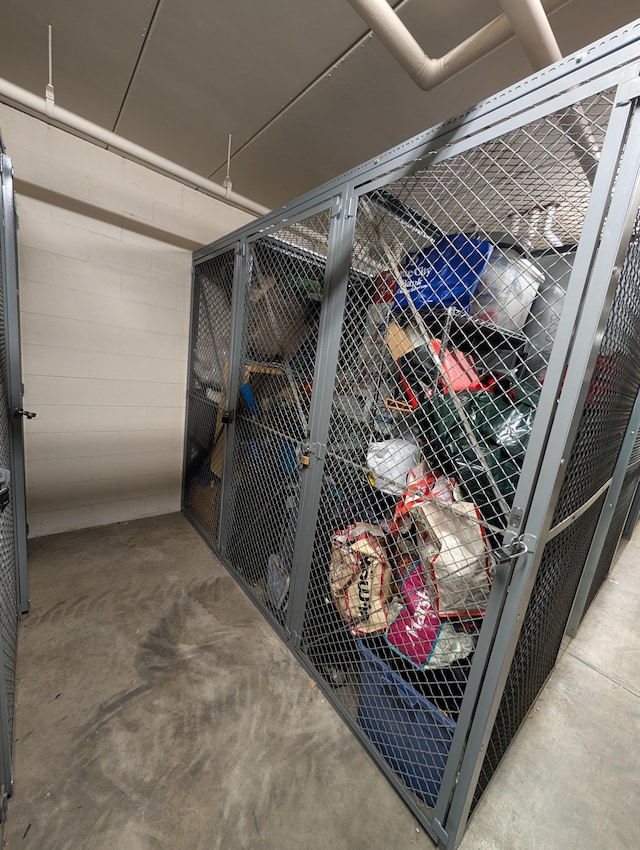 521 2nd St SE Unit 206, Minneapolis, MN 55414 - view of storage area