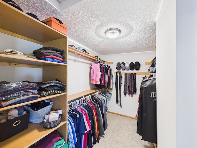 walk in closet with carpet flooring