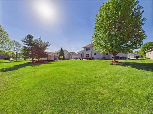 view of green lawn