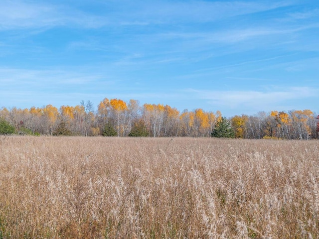 41218 Nelson Rd, North Branch, MN 55056 - view of nature