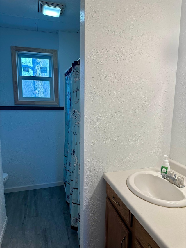 1123 Tyler Ave SE, Bemidji Twp, MN 56601 - bathroom featuring wood finished floors, vanity, toilet, a shower with shower curtain, and baseboards