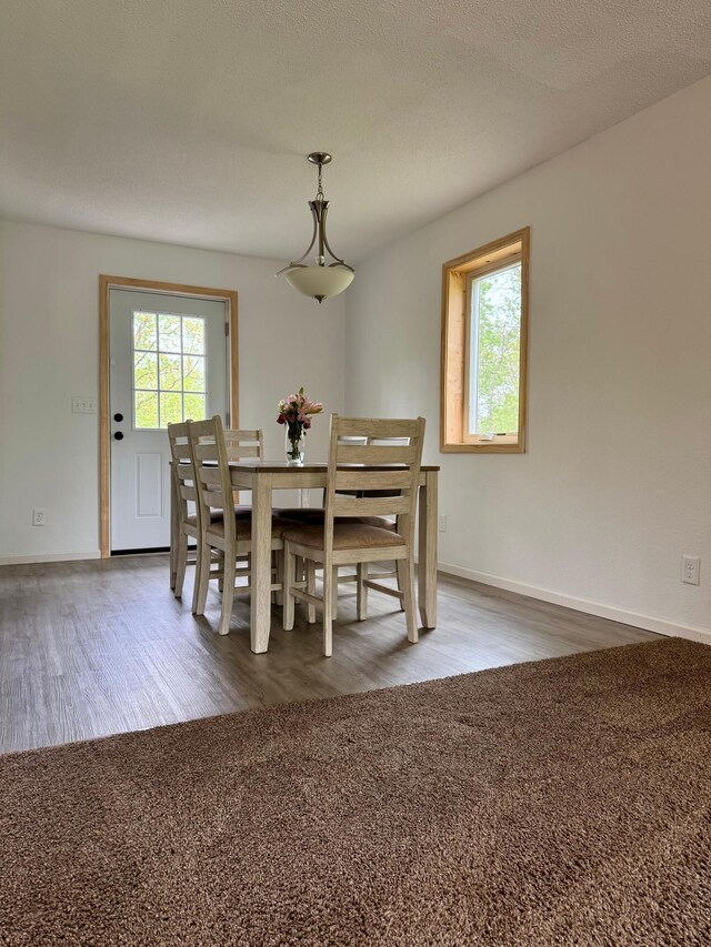1123 Tyler Ave SE, Bemidji Twp, MN 56601 - dining space with wood finished floors and baseboards
