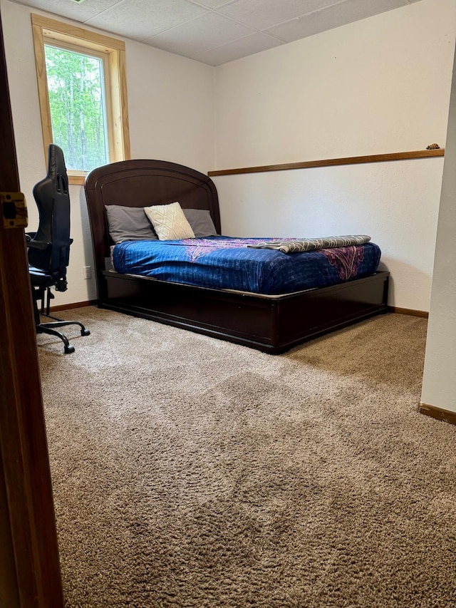 1123 Tyler Ave SE, Bemidji Twp, MN 56601 - carpeted bedroom with baseboards