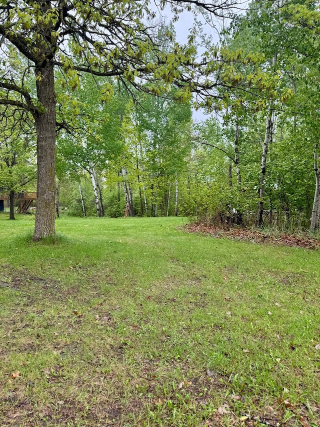 1123 Tyler Ave SE, Bemidji Twp, MN 56601 - view of green lawn