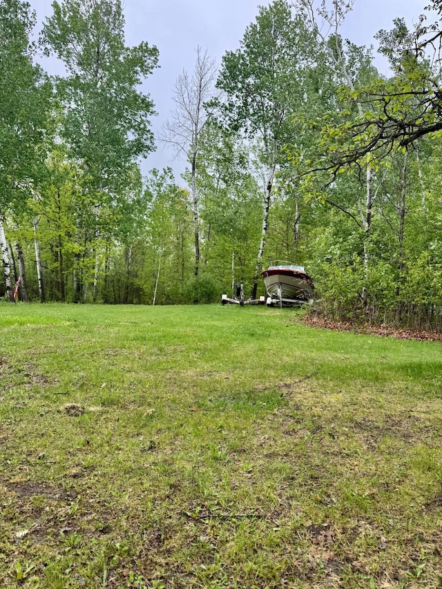 1123 Tyler Ave SE, Bemidji Twp, MN 56601 - view of yard