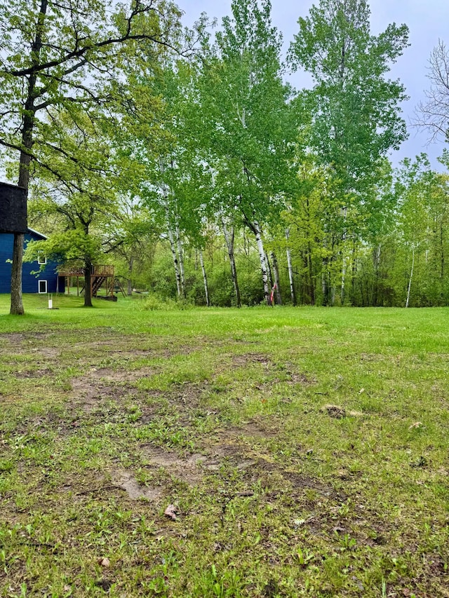 1123 Tyler Ave SE, Bemidji Twp, MN 56601 - view of yard