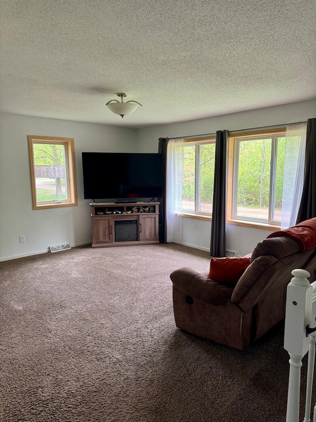 1123 Tyler Ave SE, Bemidji Twp, MN 56601 - carpeted living area featuring a textured ceiling, plenty of natural light, baseboards, and a fireplace