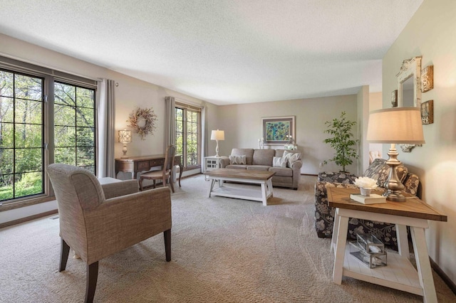 19800 See Gull Rd, Brainerd, MN 56401 - living area featuring light carpet and a textured ceiling