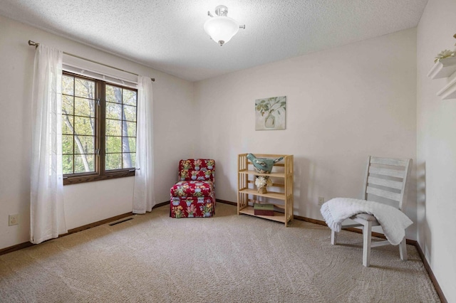 19800 See Gull Rd, Brainerd, MN 56401 - sitting room with carpet, a textured ceiling, and baseboards
