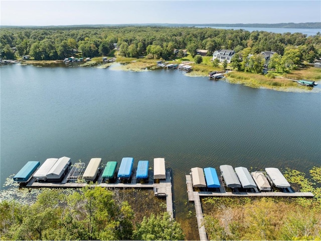 19800 See Gull Rd, Brainerd, MN 56401 - aerial view of a large body of water and a forest