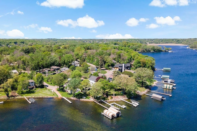 bird's eye view of a forest and a nearby body of water