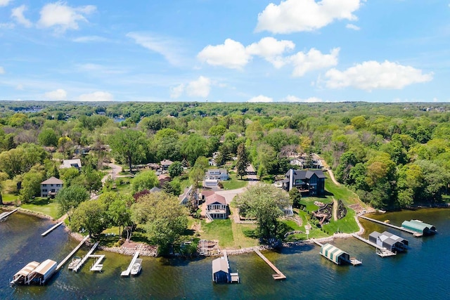 bird's eye view of a forest and a large body of water