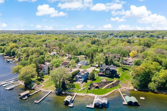 drone / aerial view of a large body of water and a forest