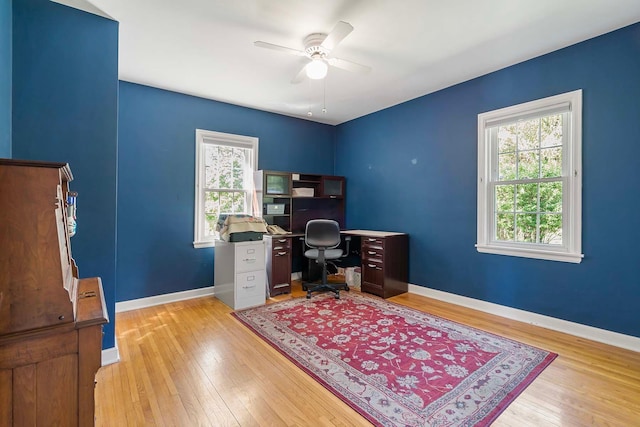 office area with plenty of natural light, ceiling fan, light wood-style flooring, and baseboards