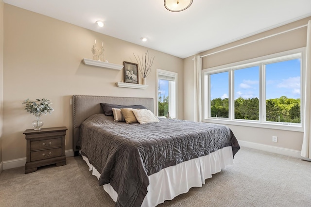 2169 Ibson Ave SE, Rockford Twp, MN 55313 - carpeted bedroom featuring baseboards