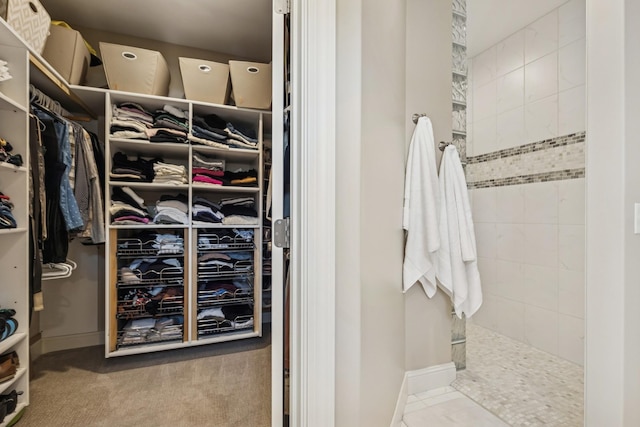 2169 Ibson Ave SE, Rockford Twp, MN 55313 - view of spacious closet