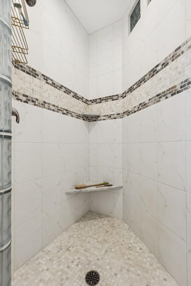 2169 Ibson Ave SE, Rockford Twp, MN 55313 - bathroom with a tile shower