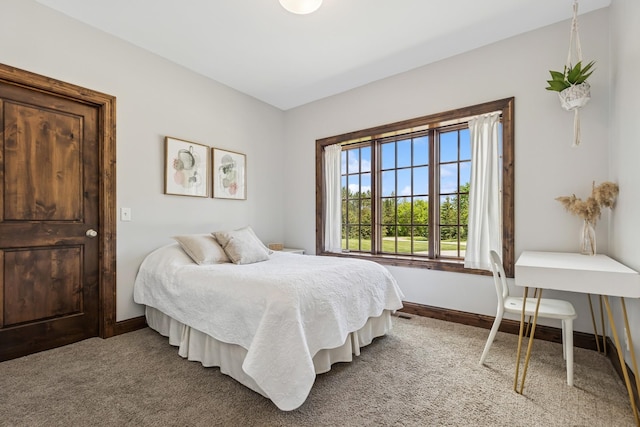 2169 Ibson Ave SE, Rockford Twp, MN 55313 - carpeted bedroom featuring baseboards