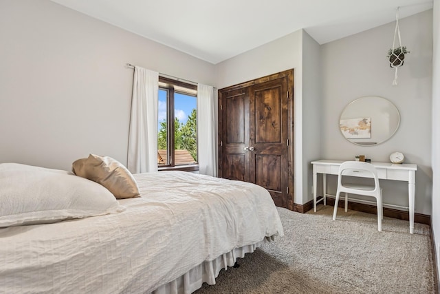 2169 Ibson Ave SE, Rockford Twp, MN 55313 - carpeted bedroom featuring baseboards and a closet