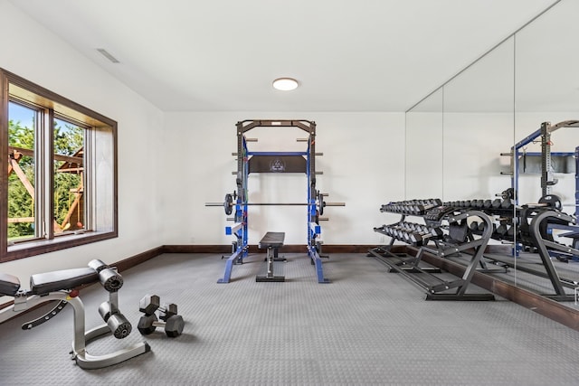 2169 Ibson Ave SE, Rockford Twp, MN 55313 - exercise room with baseboards and carpet flooring