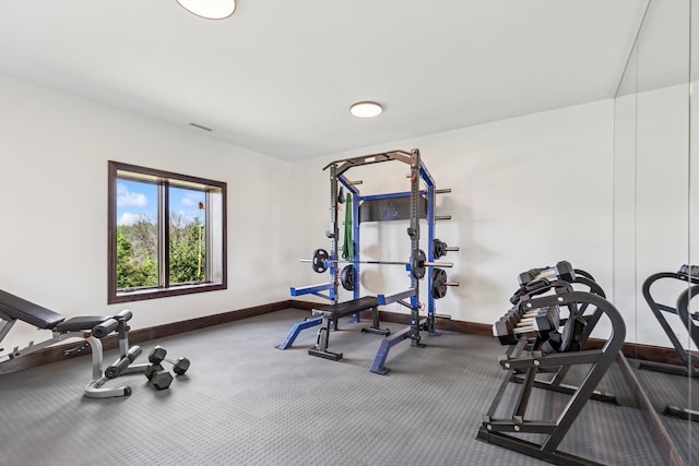 2169 Ibson Ave SE, Rockford Twp, MN 55313 - workout area featuring baseboards and carpet flooring