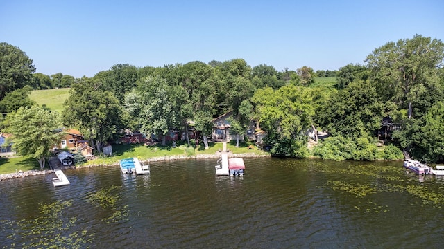 21140 654th Ave, Litchfield, MN 55355 - water view featuring a boat dock