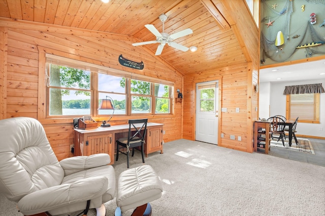 21140 654th Ave, Litchfield, MN 55355 - home office featuring lofted ceiling, wood walls, wood ceiling, recessed lighting, and a ceiling fan