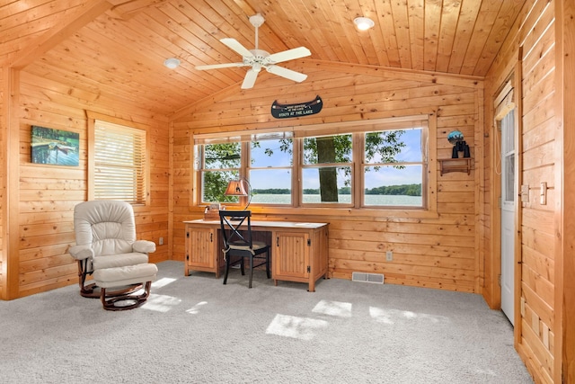 21140 654th Ave, Litchfield, MN 55355 - home office with lofted ceiling, light colored carpet, wood walls, and ceiling fan