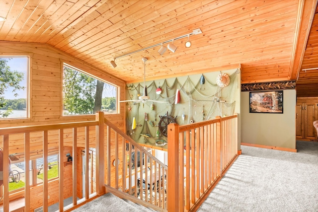 21140 654th Ave, Litchfield, MN 55355 - hall featuring wooden ceiling, healthy amount of natural light, lofted ceiling, wooden walls, and carpet flooring