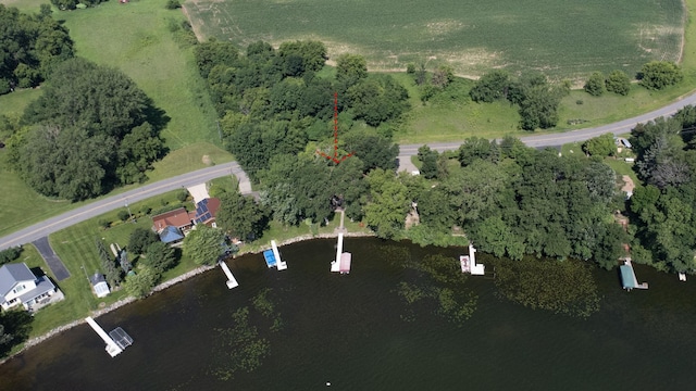21140 654th Ave, Litchfield, MN 55355 - aerial view of property and surrounding area with a nearby body of water