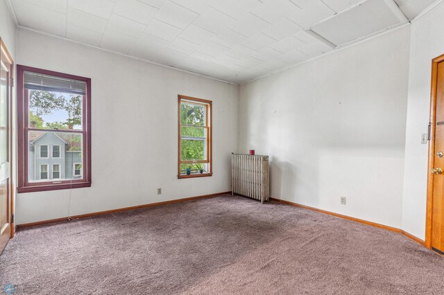 1101 4th Ave S, Fargo, ND 58103 - photo 4
