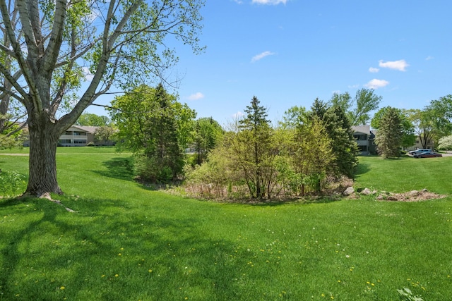 2558 75th St E, Inver Grove Heights, MN 55076 - view of green lawn
