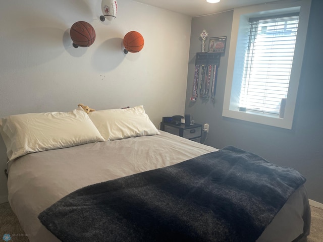 407 2nd Ave W, Lisbon, ND 58054 - bedroom featuring carpet flooring and multiple windows