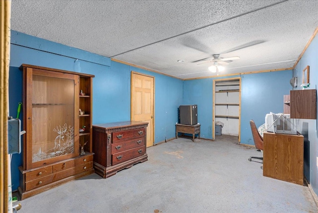 1361 60th St Unit D, Apple River Twp, WI 54889 - carpeted office featuring ceiling fan and a textured ceiling