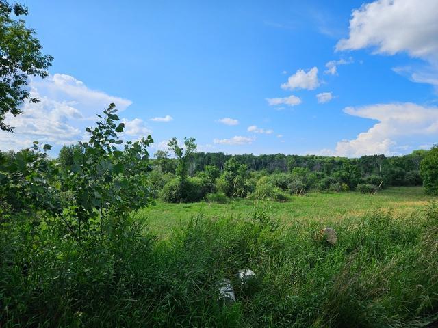 2440 Rush Point Dr, Nessel Twp, MN 55069 - photo 3