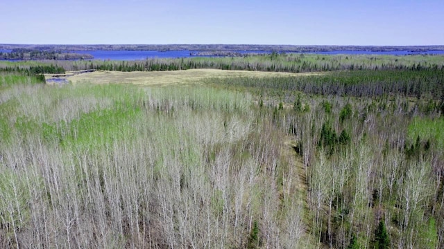 TBD5 Hwy 115, Greenwood Twp, MN 55790