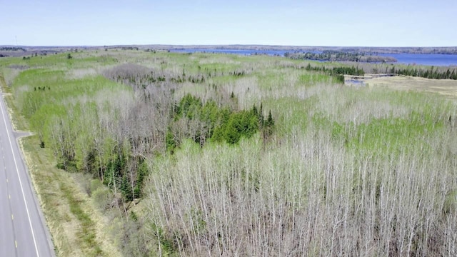 TBD5 Hwy 115, Greenwood Twp, MN 55790