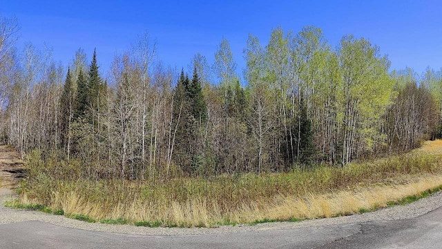 TBD5 Hwy 115, Greenwood Twp, MN 55790
