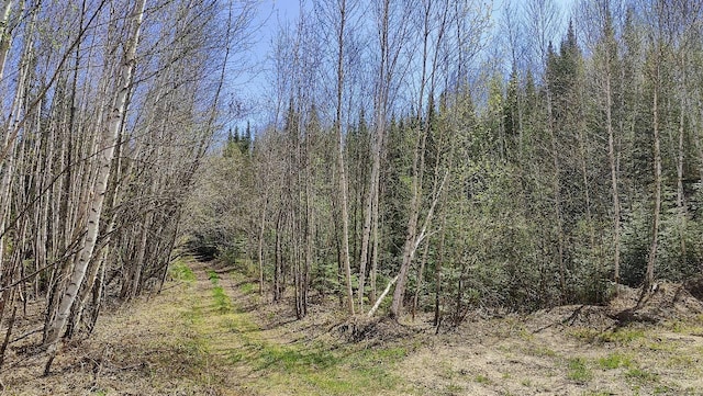 TBD5 Hwy 115, Greenwood Twp, MN 55790