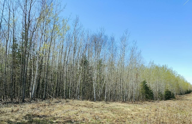 TBD2 Hwy 115, Greenwood Twp, MN 55790