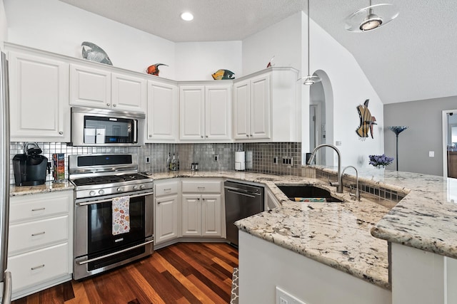 kitchen with stainless steel appliances, a sink, dark wood-type flooring, decorative backsplash, and vaulted ceiling