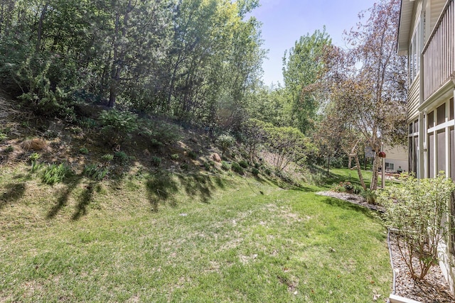 view of green lawn