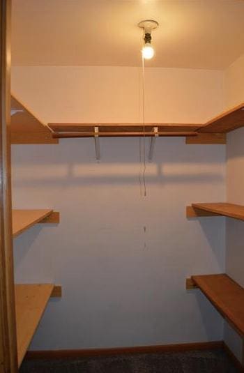7673 River Rd, Fridley, MN 55432 - view of spacious closet